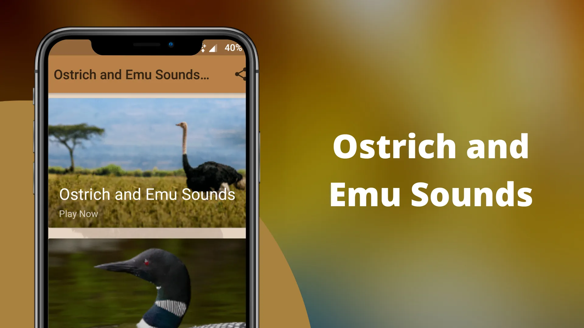 Ostrich and Emu Sounds | Indus Appstore | Screenshot