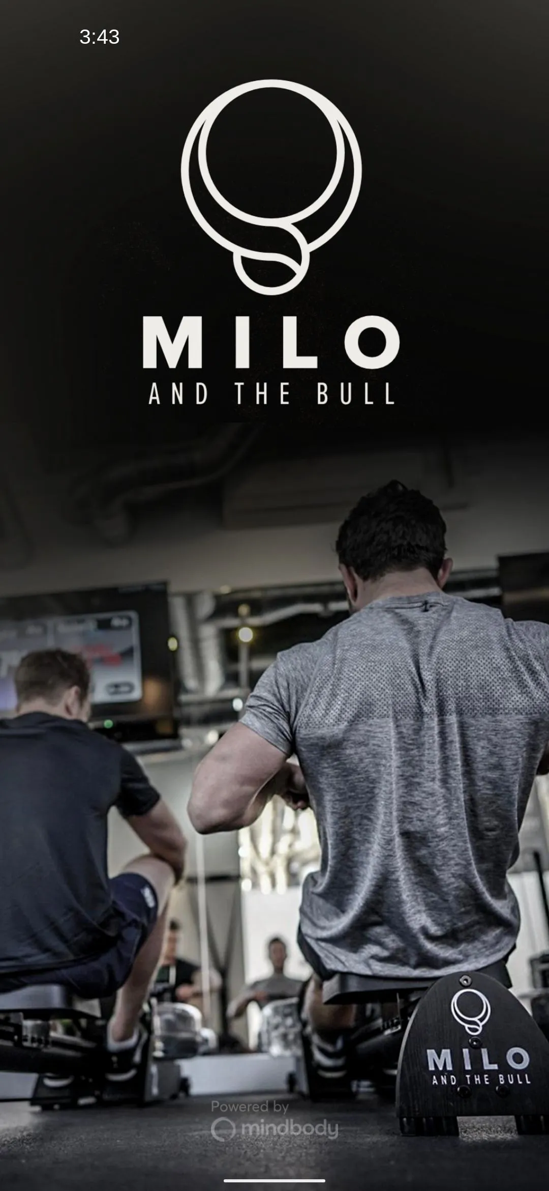 Milo and the Bull | Indus Appstore | Screenshot