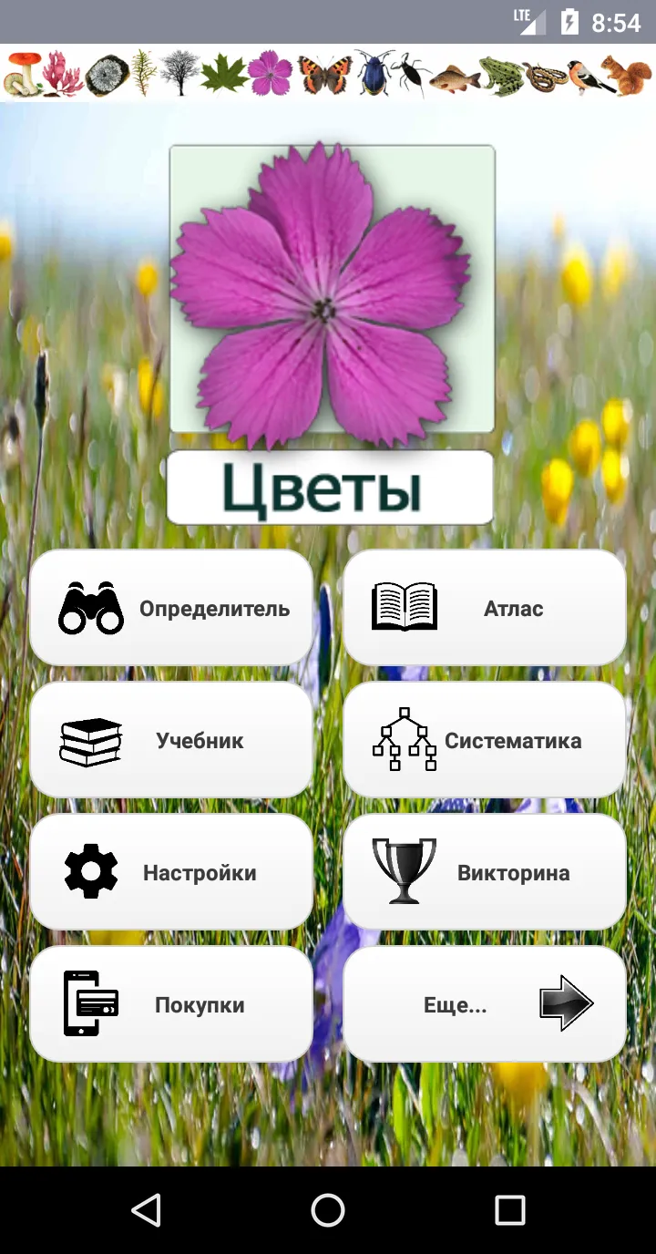 EcoGuide: Russian Wild Flowers | Indus Appstore | Screenshot