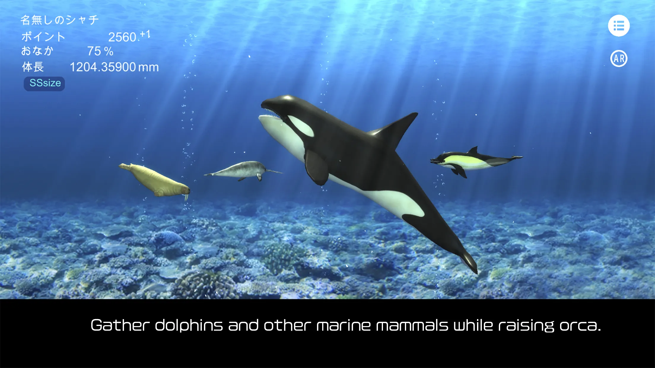 Orca  and marine mammals | Indus Appstore | Screenshot