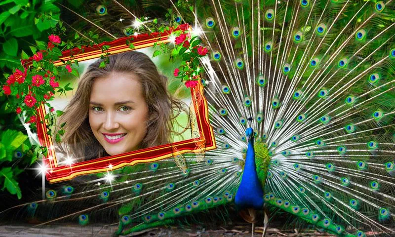 Peacock Photo Frames | Indus Appstore | Screenshot