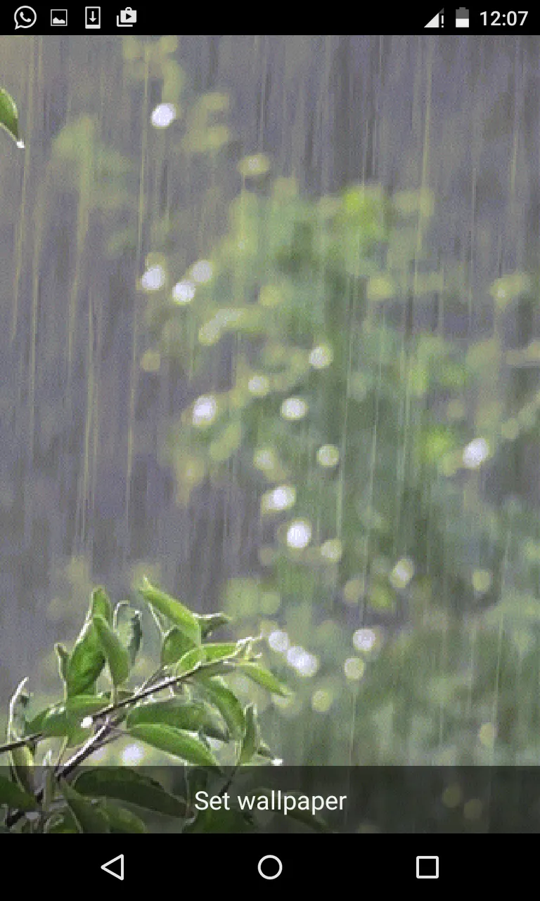 Rain Live Wallpapers | Indus Appstore | Screenshot