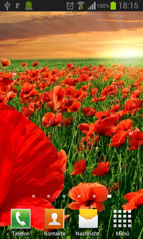 Poppies live wallpaper | Indus Appstore | Screenshot