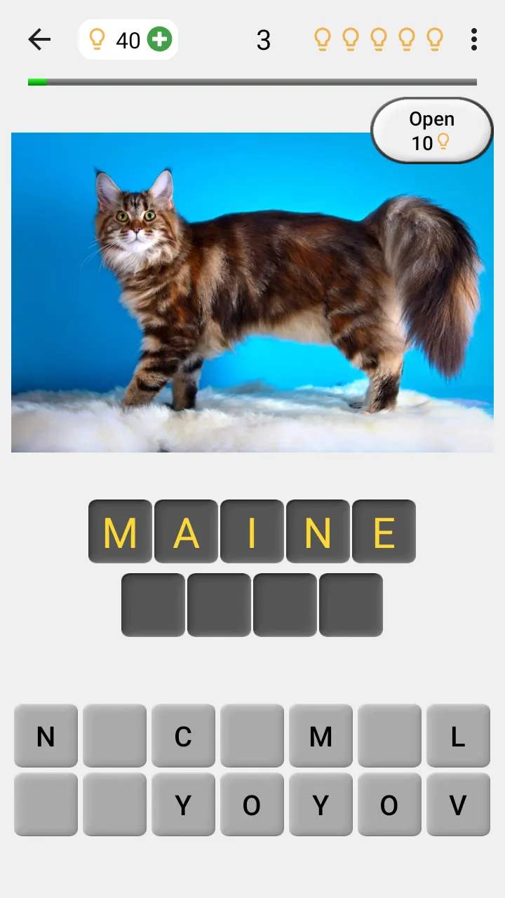 Cats Quiz Guess Popular Breeds | Indus Appstore | Screenshot