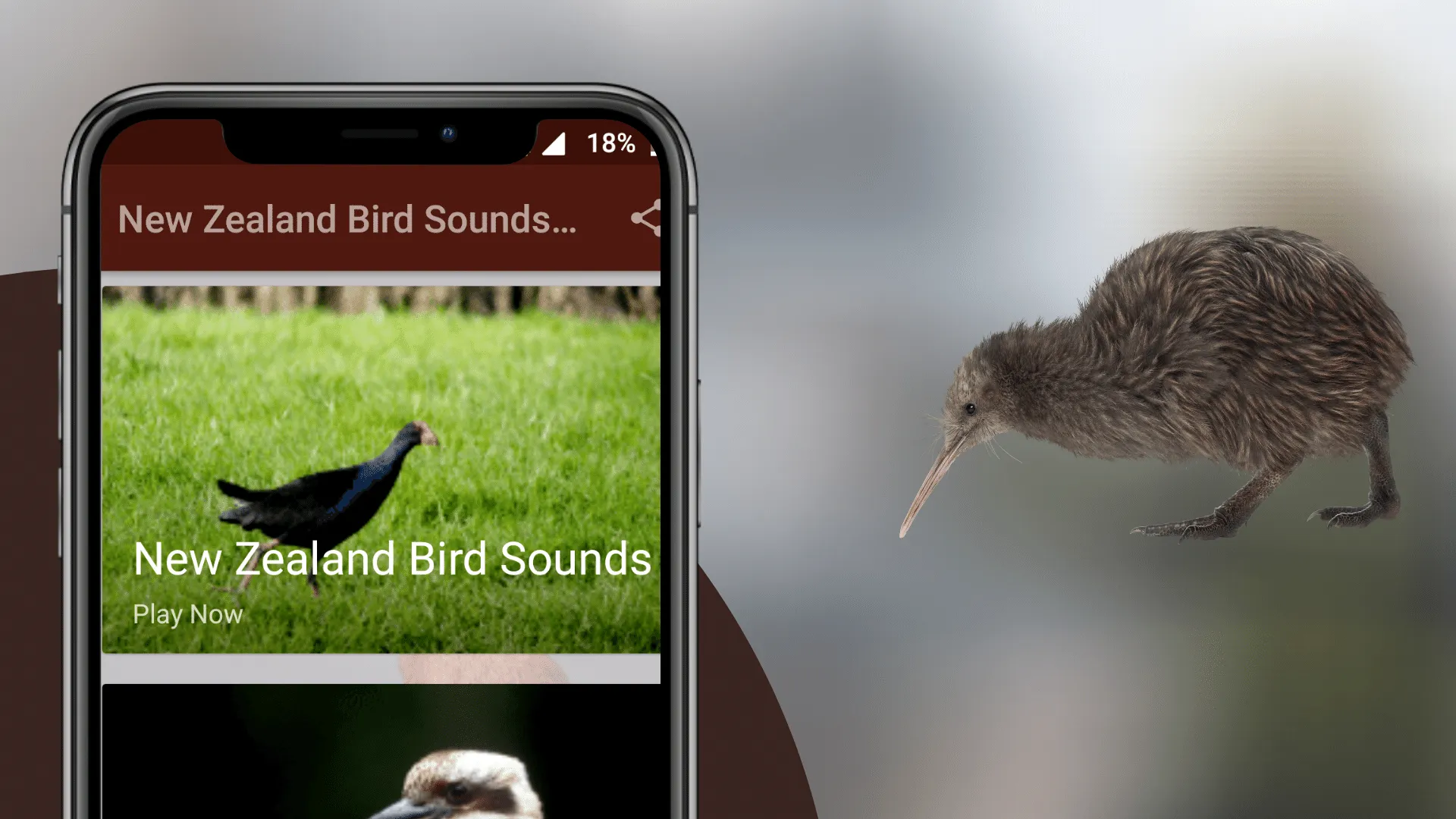 NewZealand Bird Sounds | Indus Appstore | Screenshot