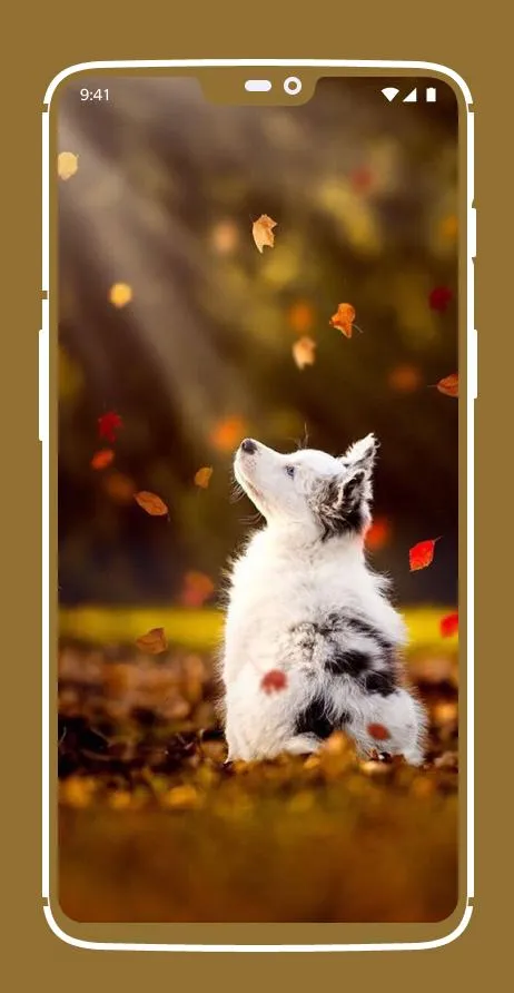 Cute Puppy Wallpapers | Indus Appstore | Screenshot