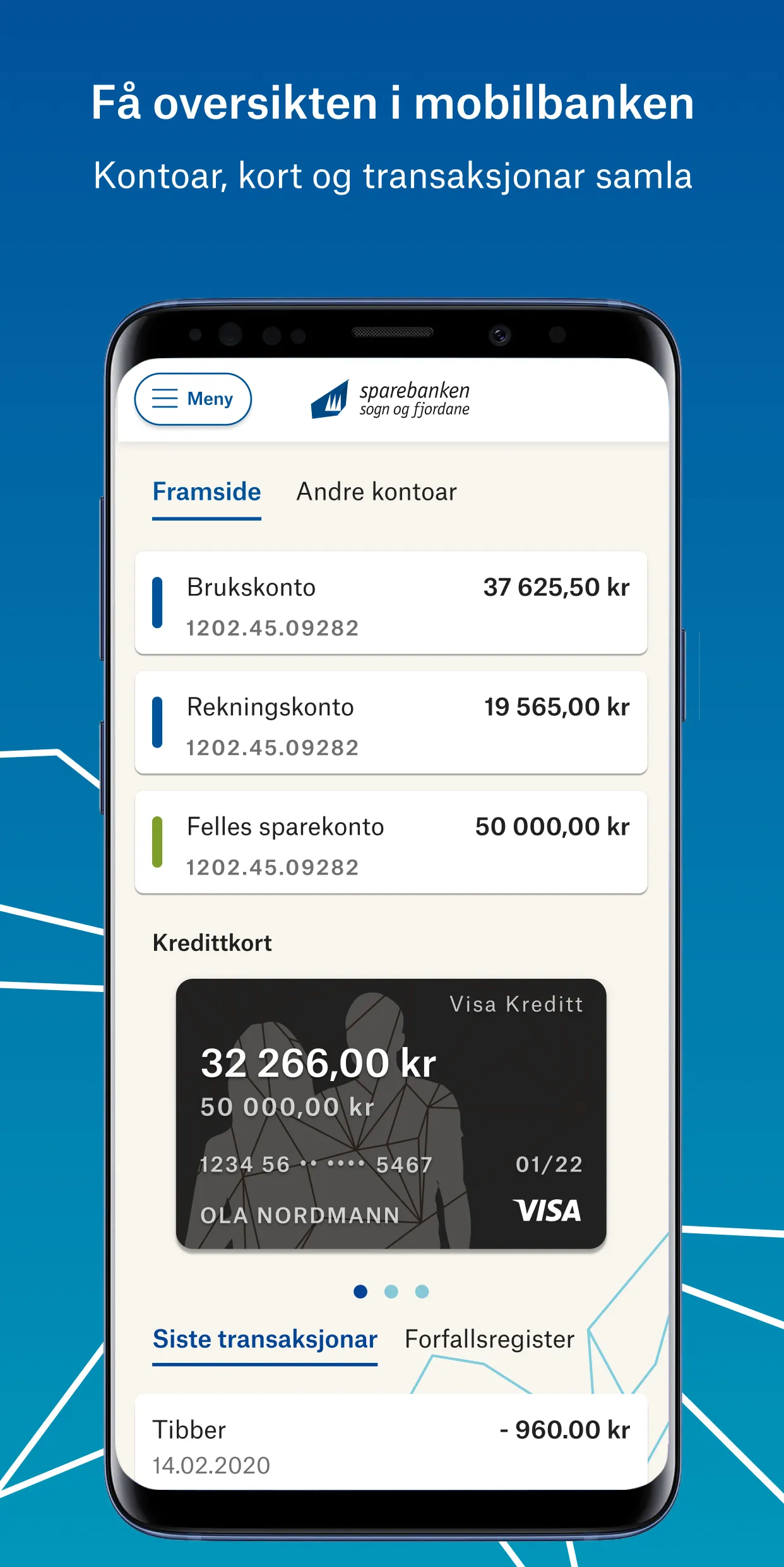 Onlinebank SSF | Indus Appstore | Screenshot