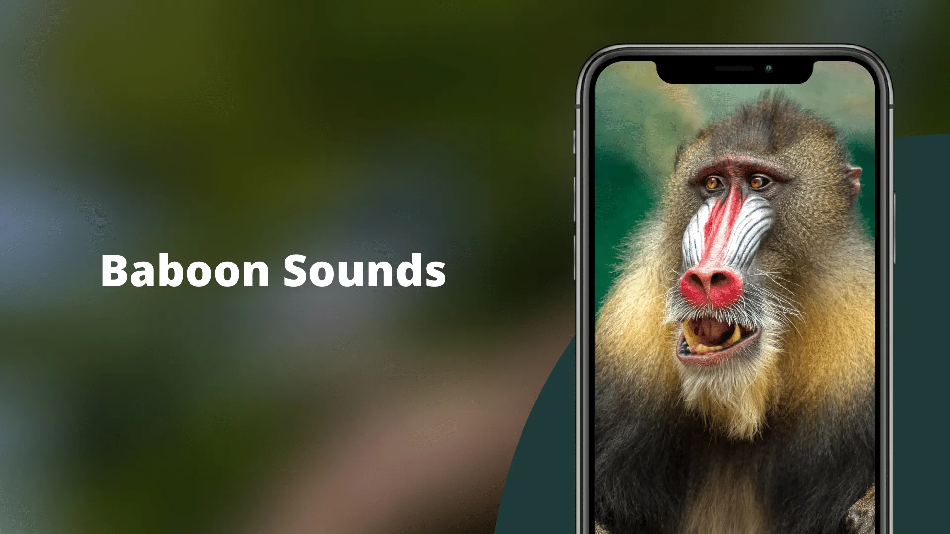 Baboon Sounds | Indus Appstore | Screenshot