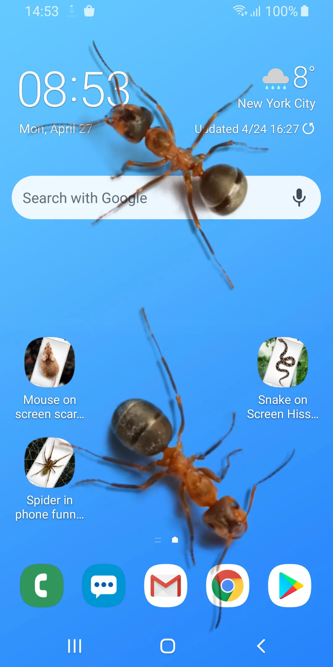 Ants on Screen Funny Joke | Indus Appstore | Screenshot