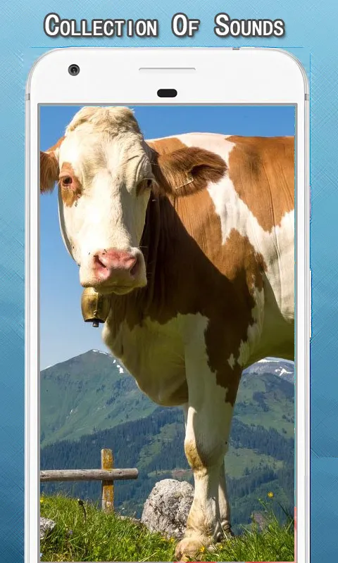 Cow Sounds Ringtone | Indus Appstore | Screenshot