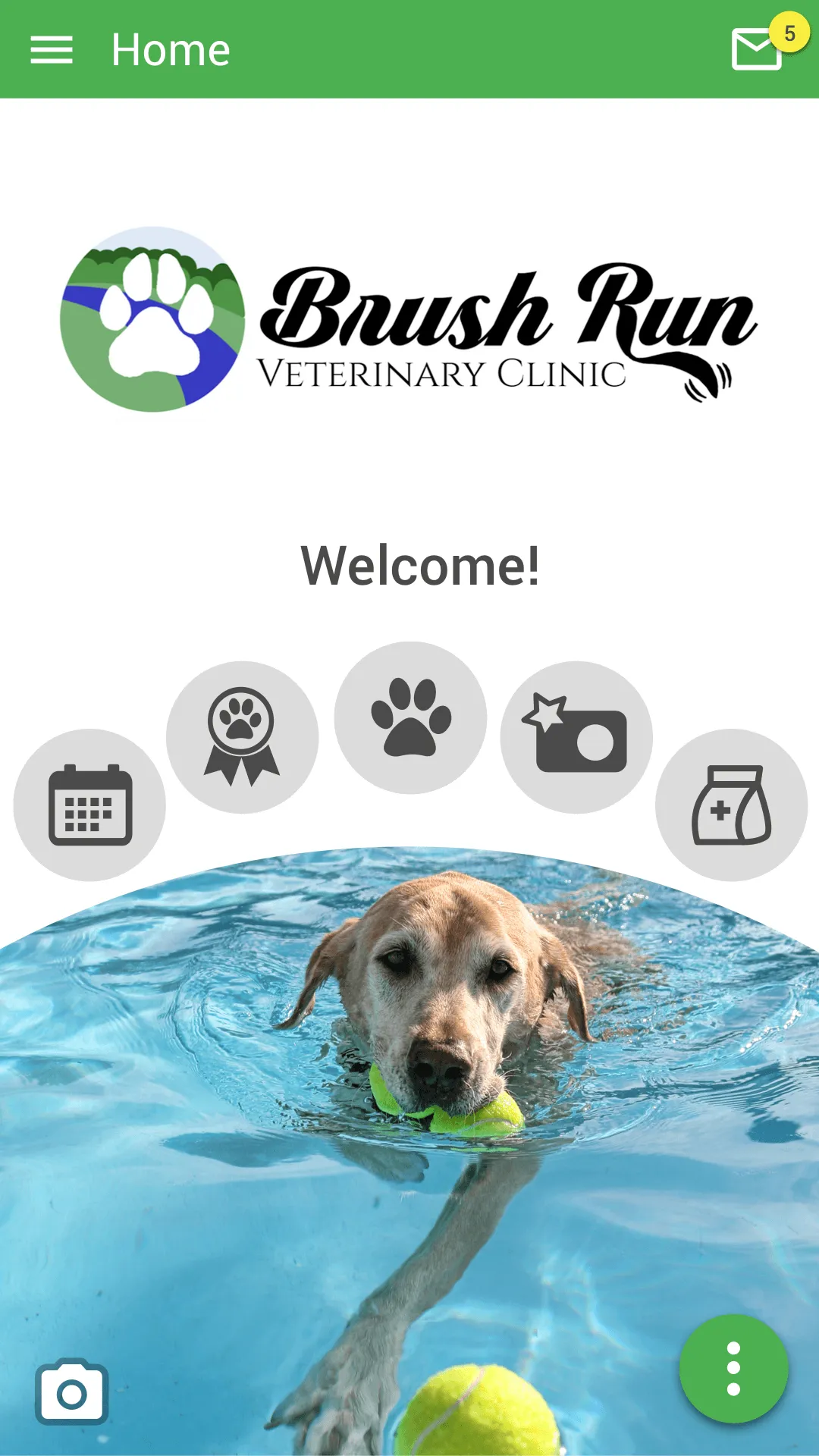 Brush Run Vet Clinic | Indus Appstore | Screenshot