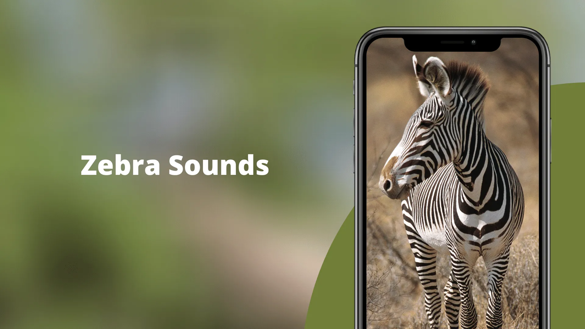 Zebra Sounds | Indus Appstore | Screenshot