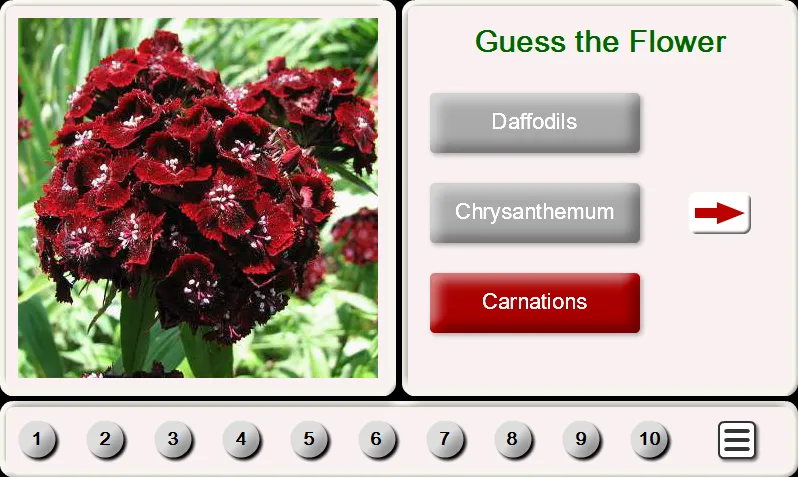 Guess the Flower: Tile Puzzles | Indus Appstore | Screenshot