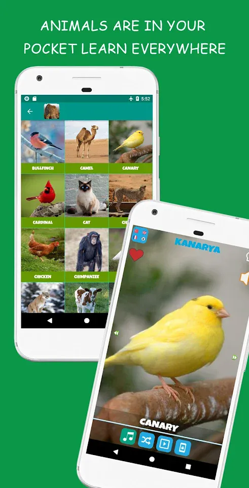 Animal Sounds | Indus Appstore | Screenshot