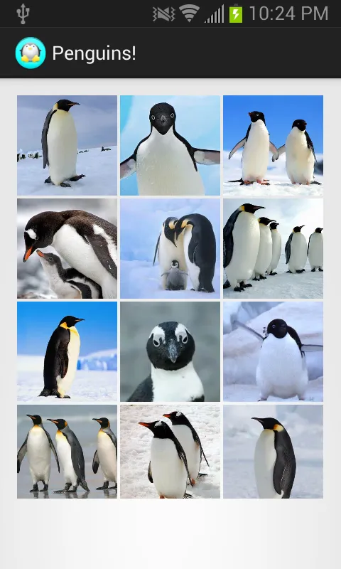 Penguins! | Indus Appstore | Screenshot