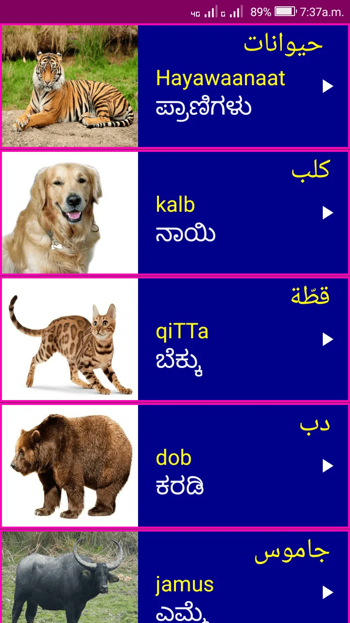 Learn Arabic From Kannada | Indus Appstore | Screenshot