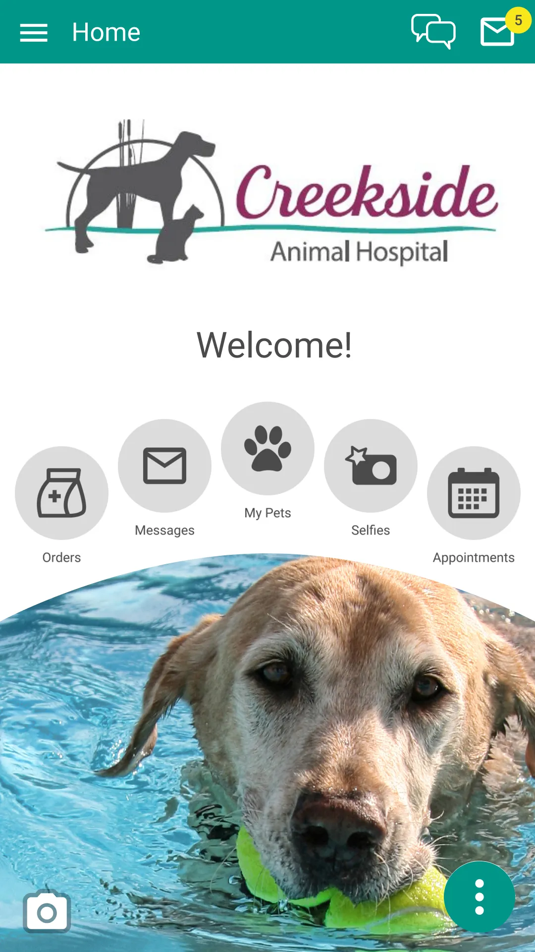 Creekside Animal Hospital | Indus Appstore | Screenshot