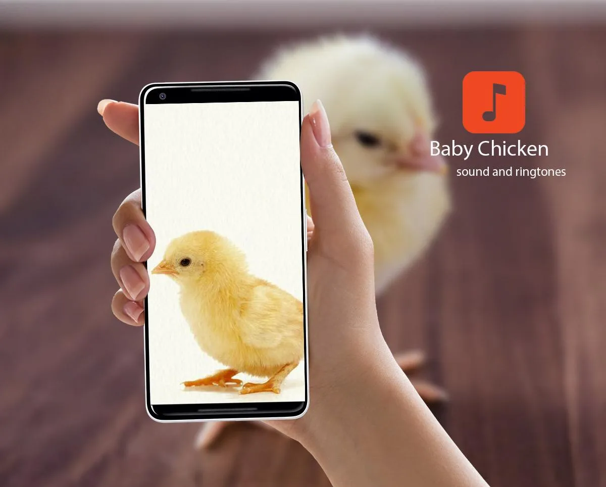 Baby Chicken Sounds | Indus Appstore | Screenshot