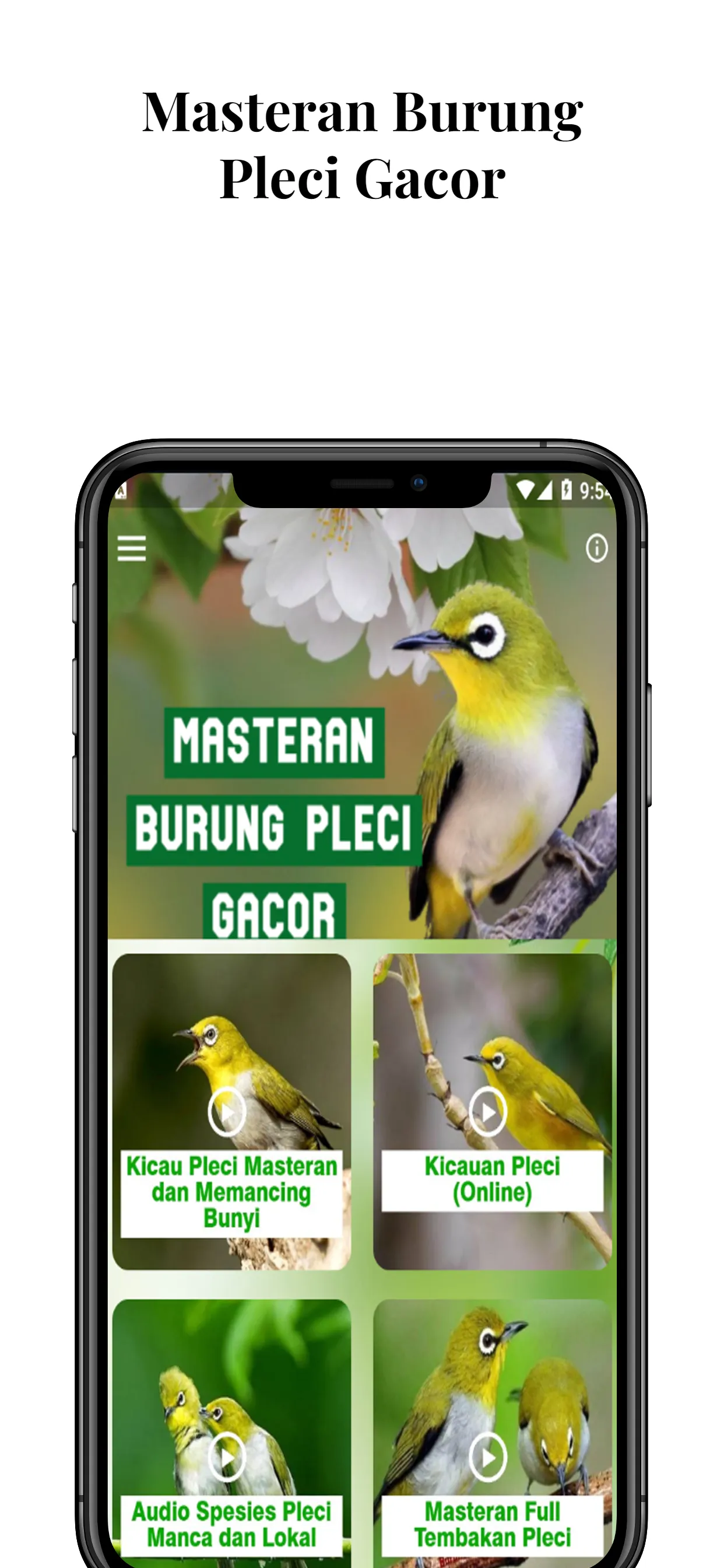 Masteran Burung Pleci Gacor | Indus Appstore | Screenshot