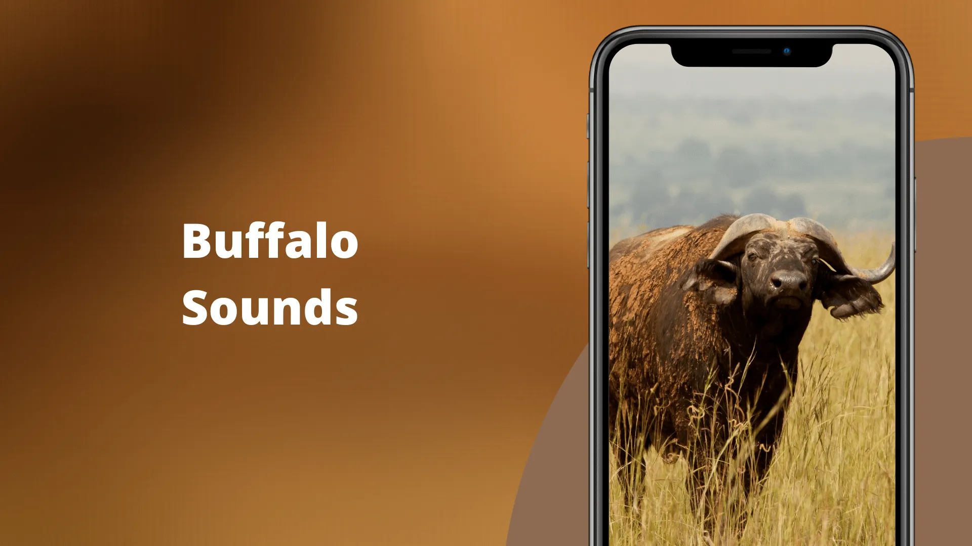 Buffalo Sounds | Indus Appstore | Screenshot