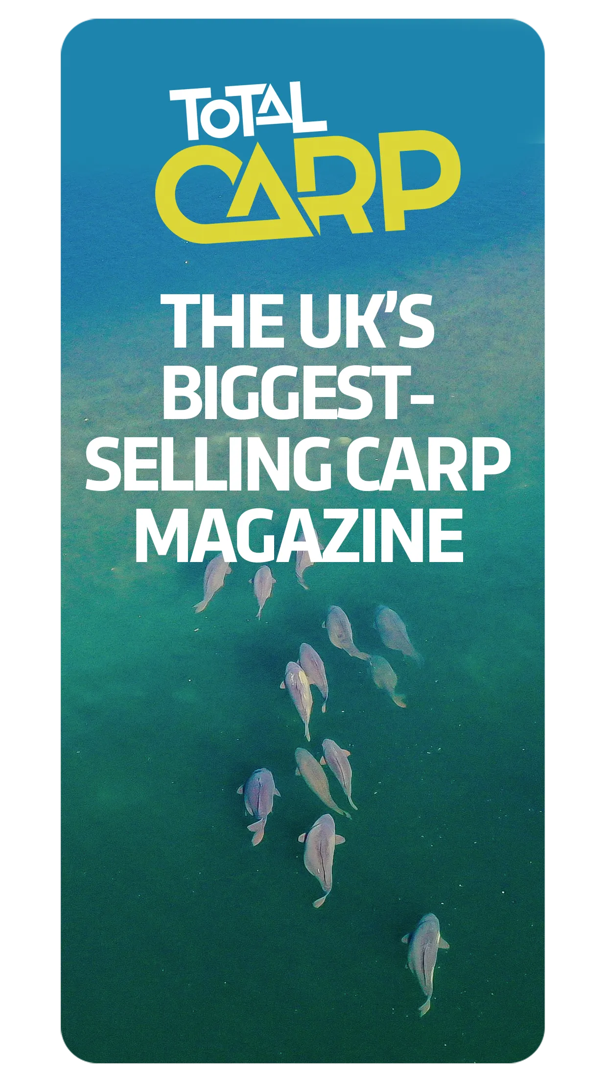 Total Carp Magazine | Indus Appstore | Screenshot