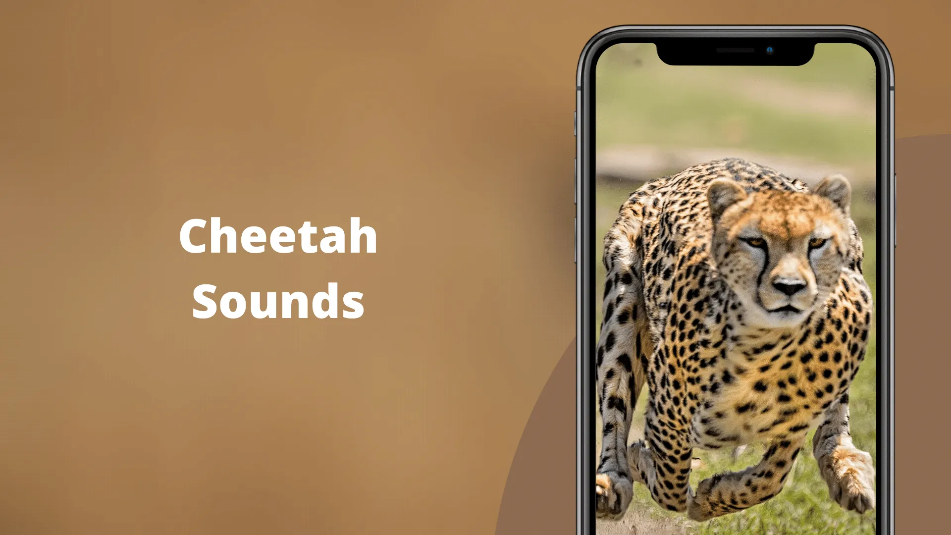 Cheetah Sounds | Indus Appstore | Screenshot