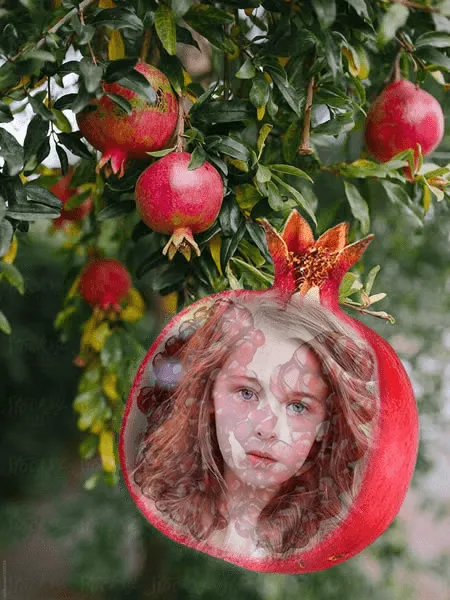 Fruit Photo Frames | Indus Appstore | Screenshot