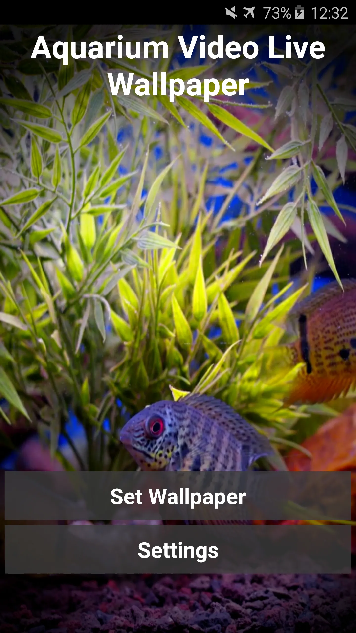 Aquarium Video Wallpaper | Indus Appstore | Screenshot