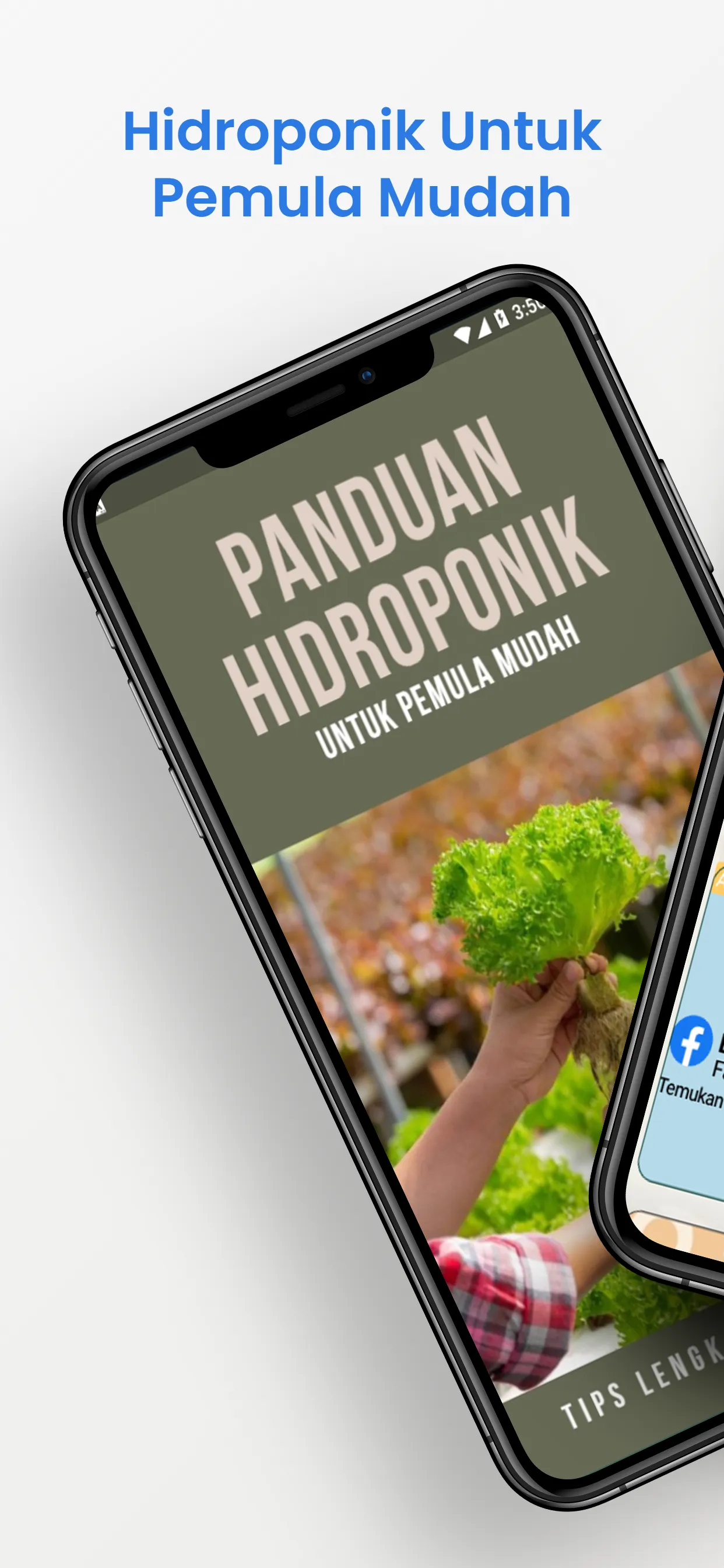 Hidroponik Untuk Pemula Mudah | Indus Appstore | Screenshot