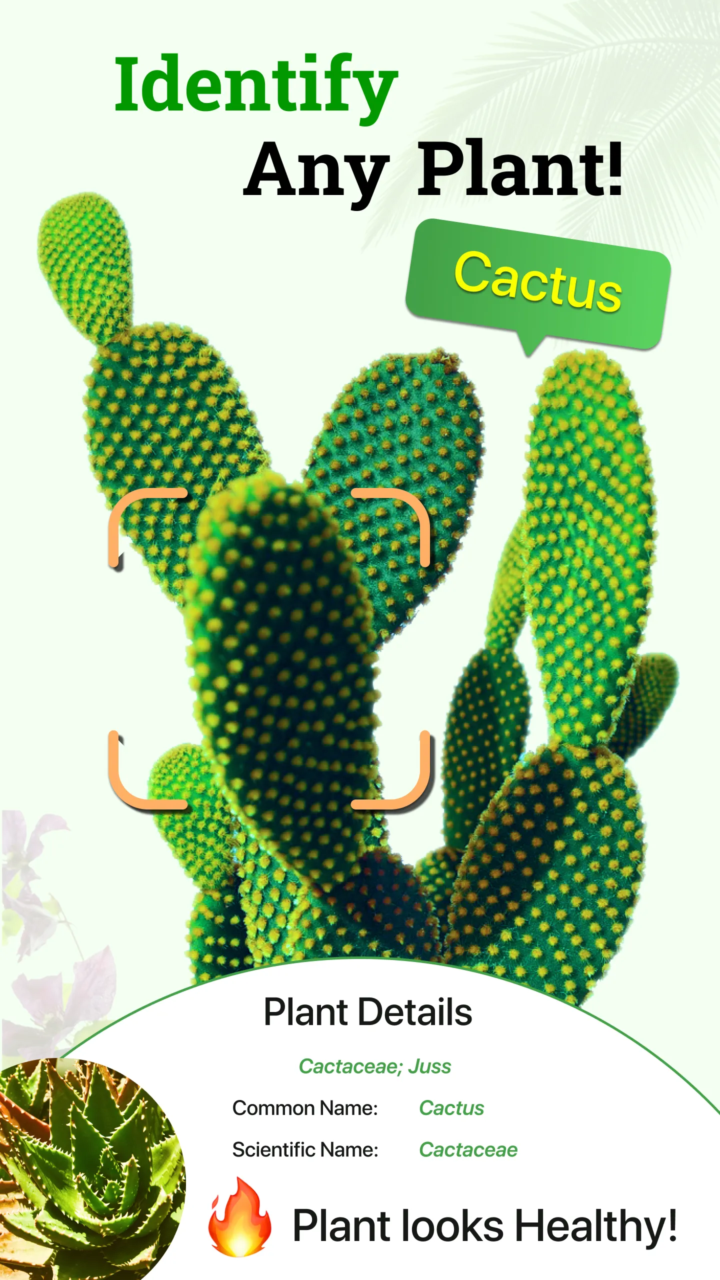 Plant Identifier Plant ID | Indus Appstore | Screenshot