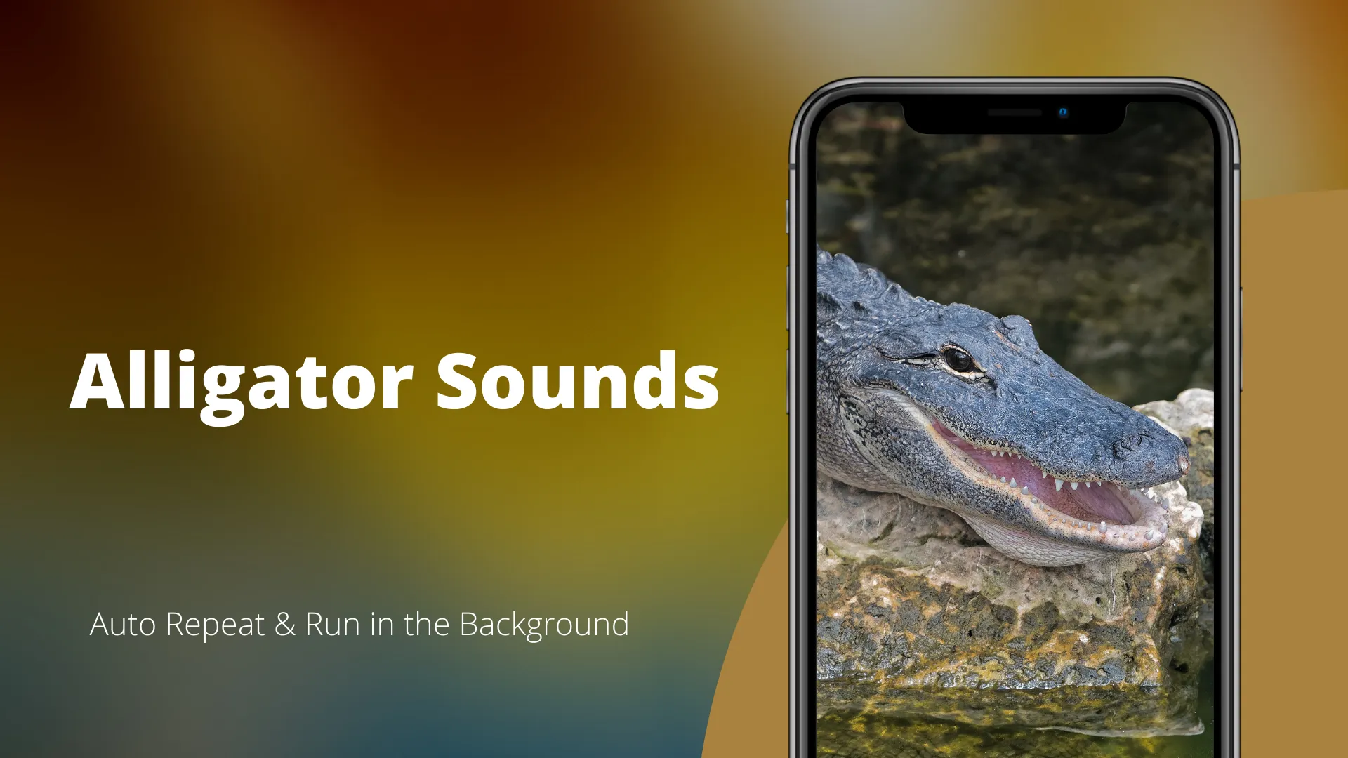 Alligator Sounds | Indus Appstore | Screenshot