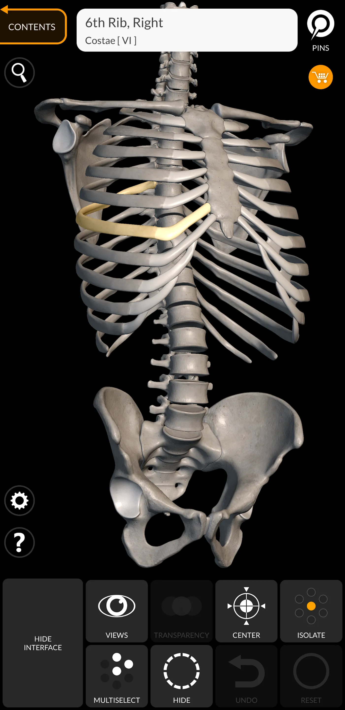 Skeleton | 3D Anatomy | Indus Appstore | Screenshot