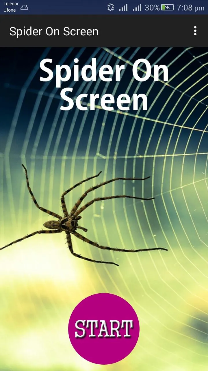 Spider On Screen Prank | Indus Appstore | Screenshot