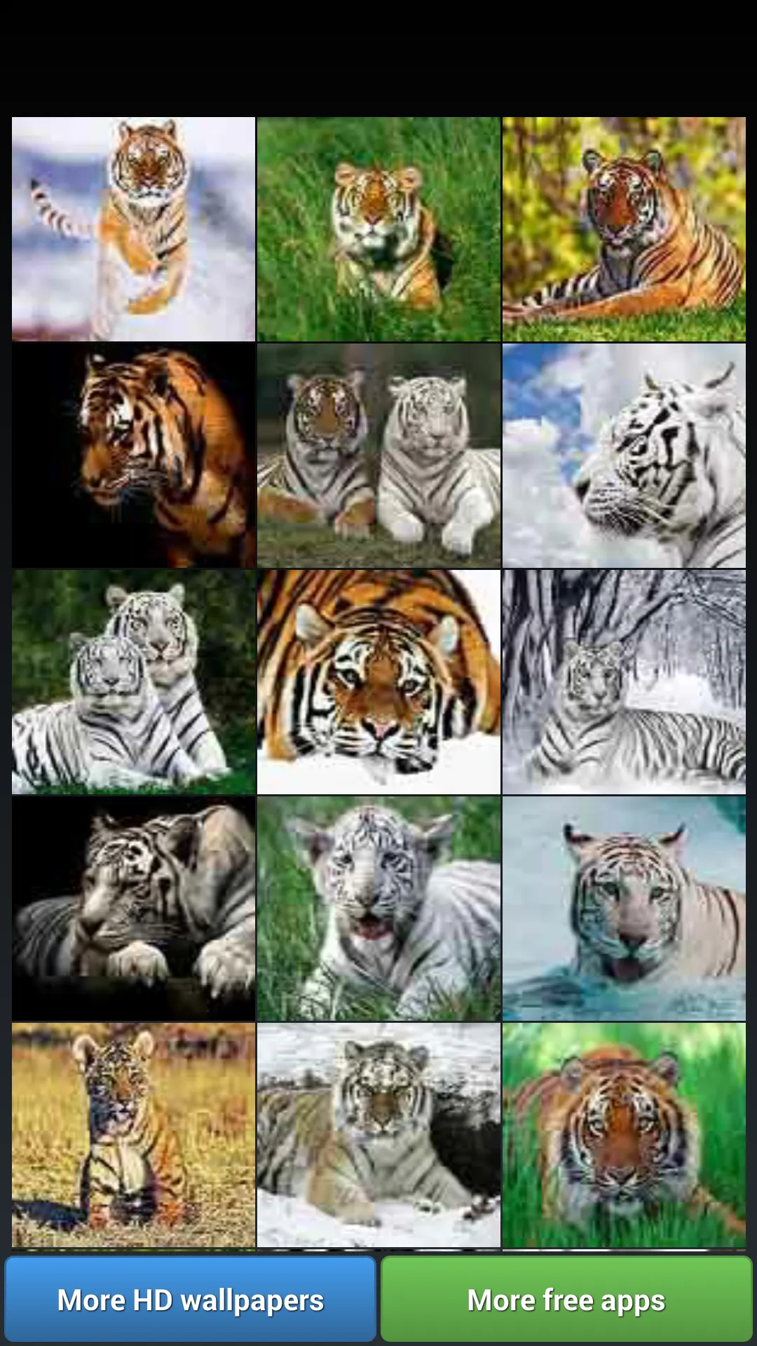 Big Cats HD Wallpapers | Indus Appstore | Screenshot