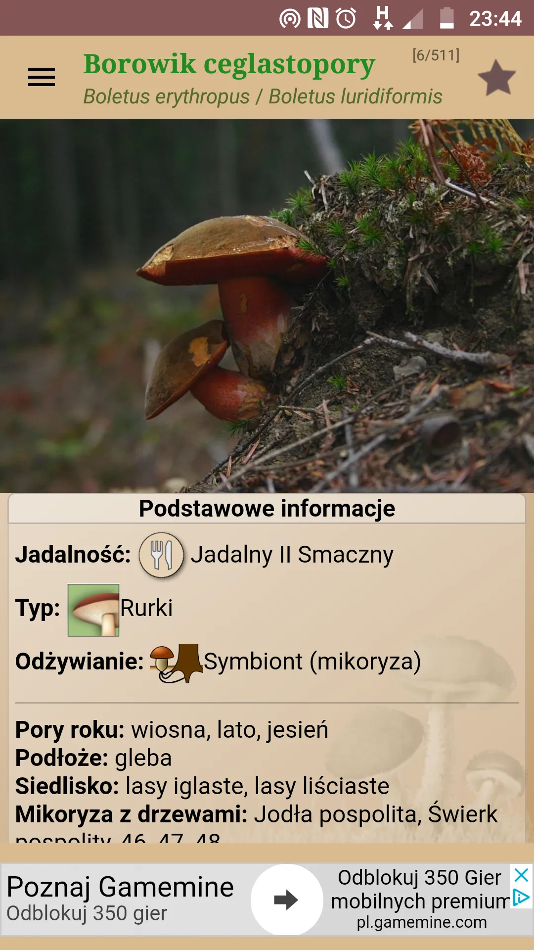 Atlas grzybów | Indus Appstore | Screenshot