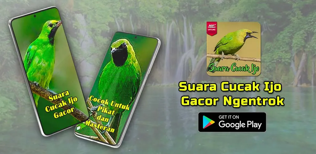 Masteran Cucak Ijo Gacor | Indus Appstore | Screenshot