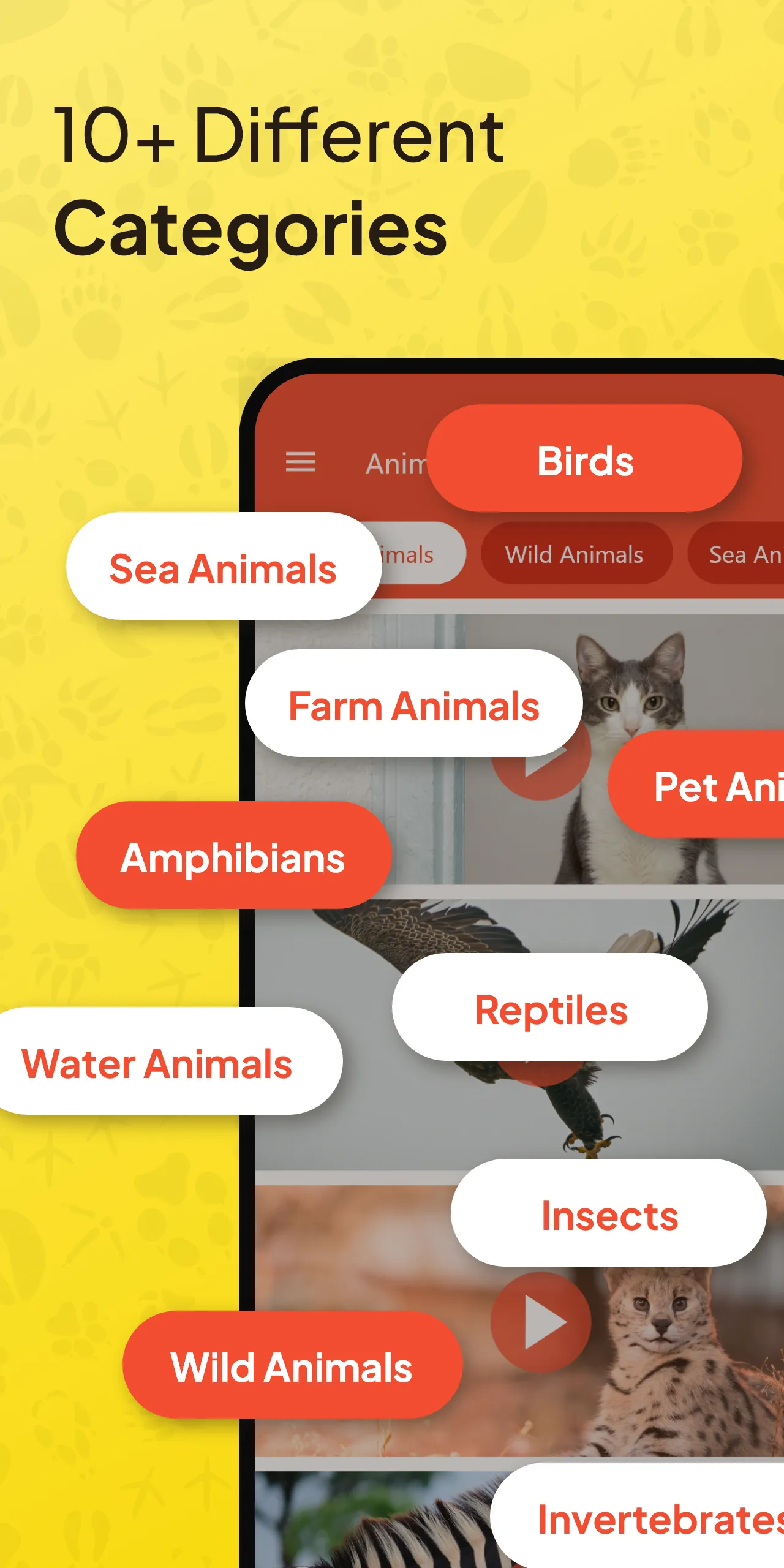 Animal Ringtone - Birds Sound | Indus Appstore | Screenshot