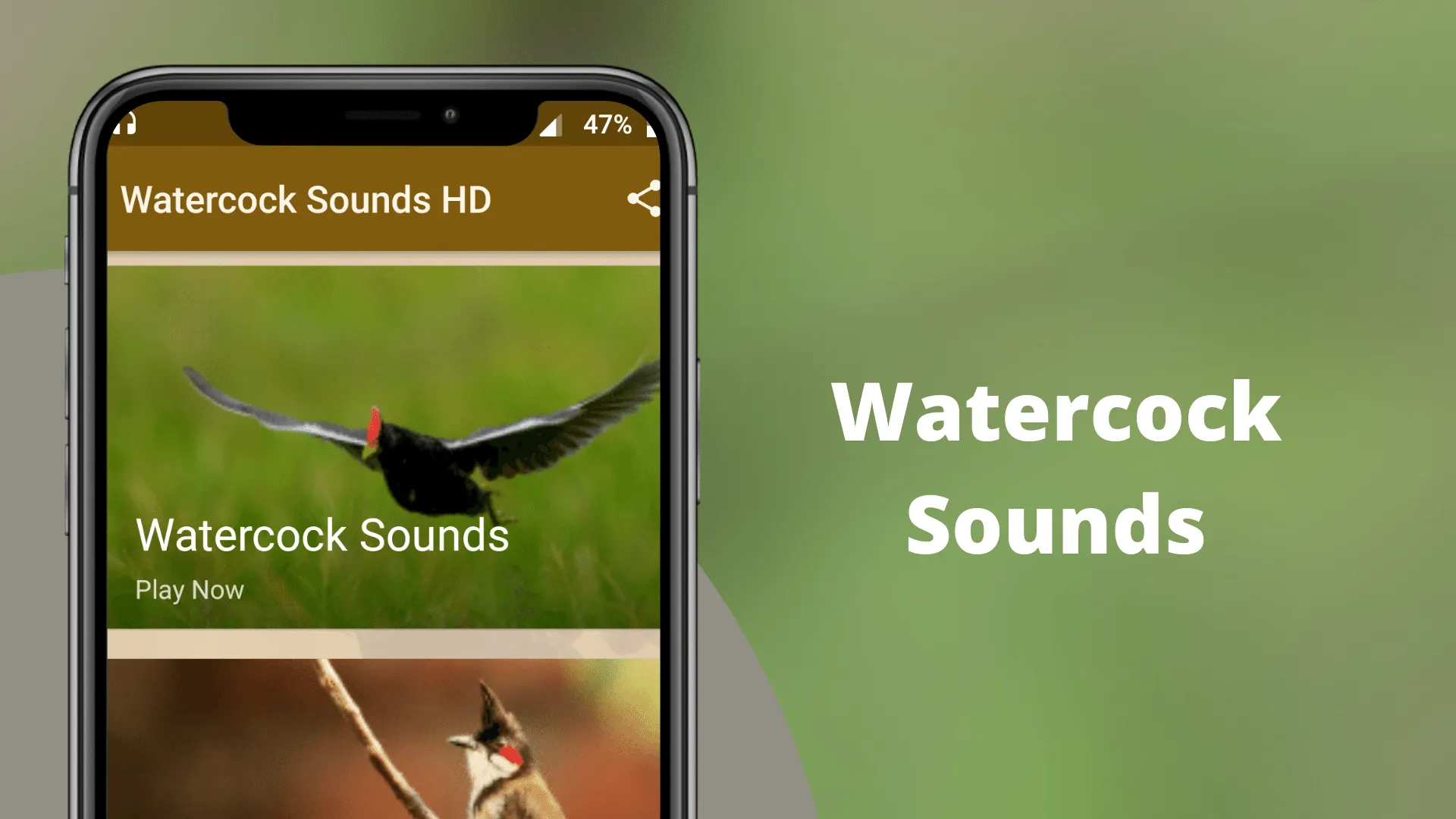 Watercock Sounds | Indus Appstore | Screenshot