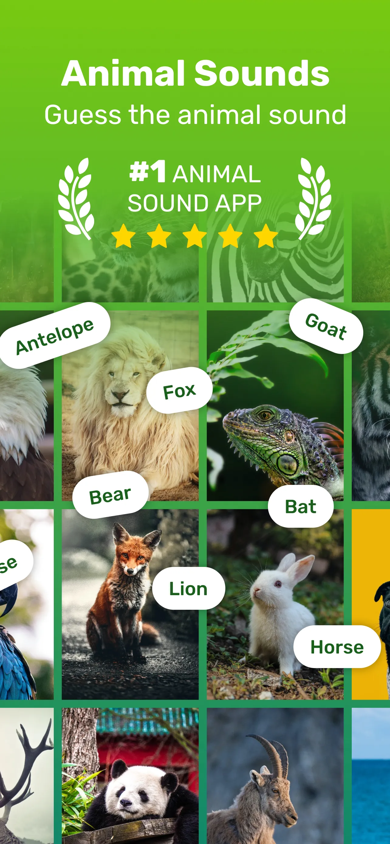 Guess the Animal Sounds | Indus Appstore | Screenshot