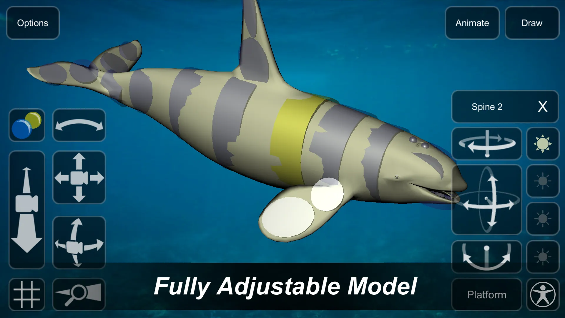 Orca Mannequin | Indus Appstore | Screenshot