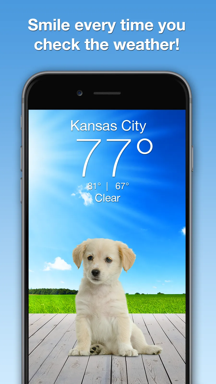 Weather Puppy - App & Widget | Indus Appstore | Screenshot