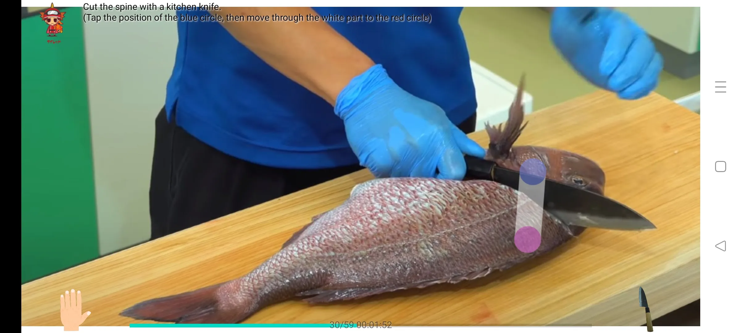 Fillet the red sea bream | Indus Appstore | Screenshot