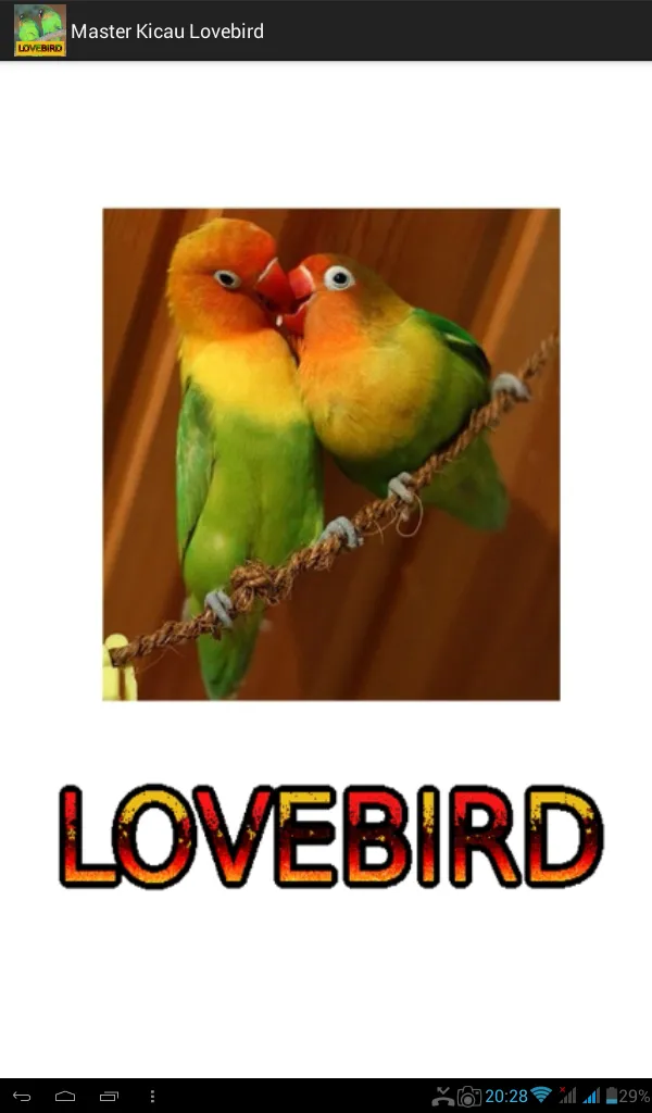 Master Kicau Lovebird | Indus Appstore | Screenshot