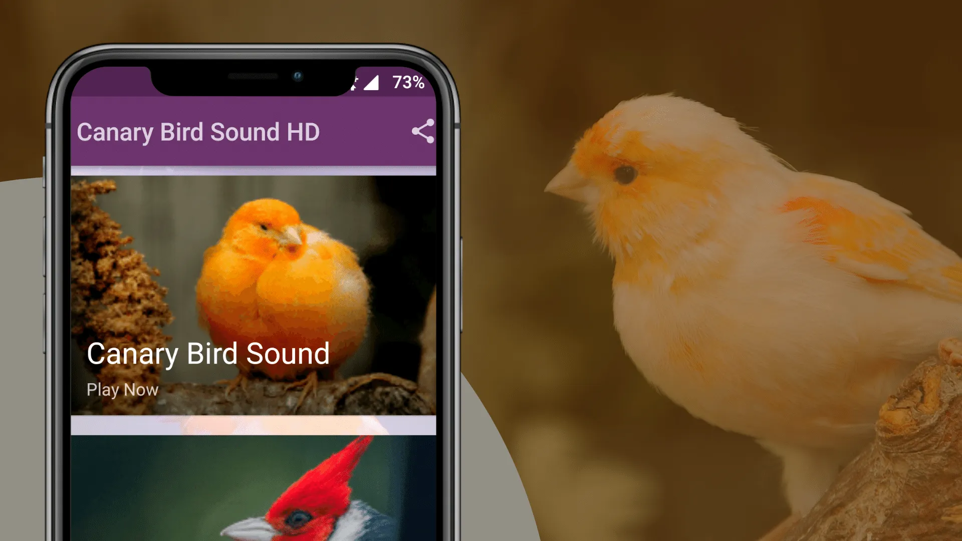 Canary Bird Sounds | Indus Appstore | Screenshot