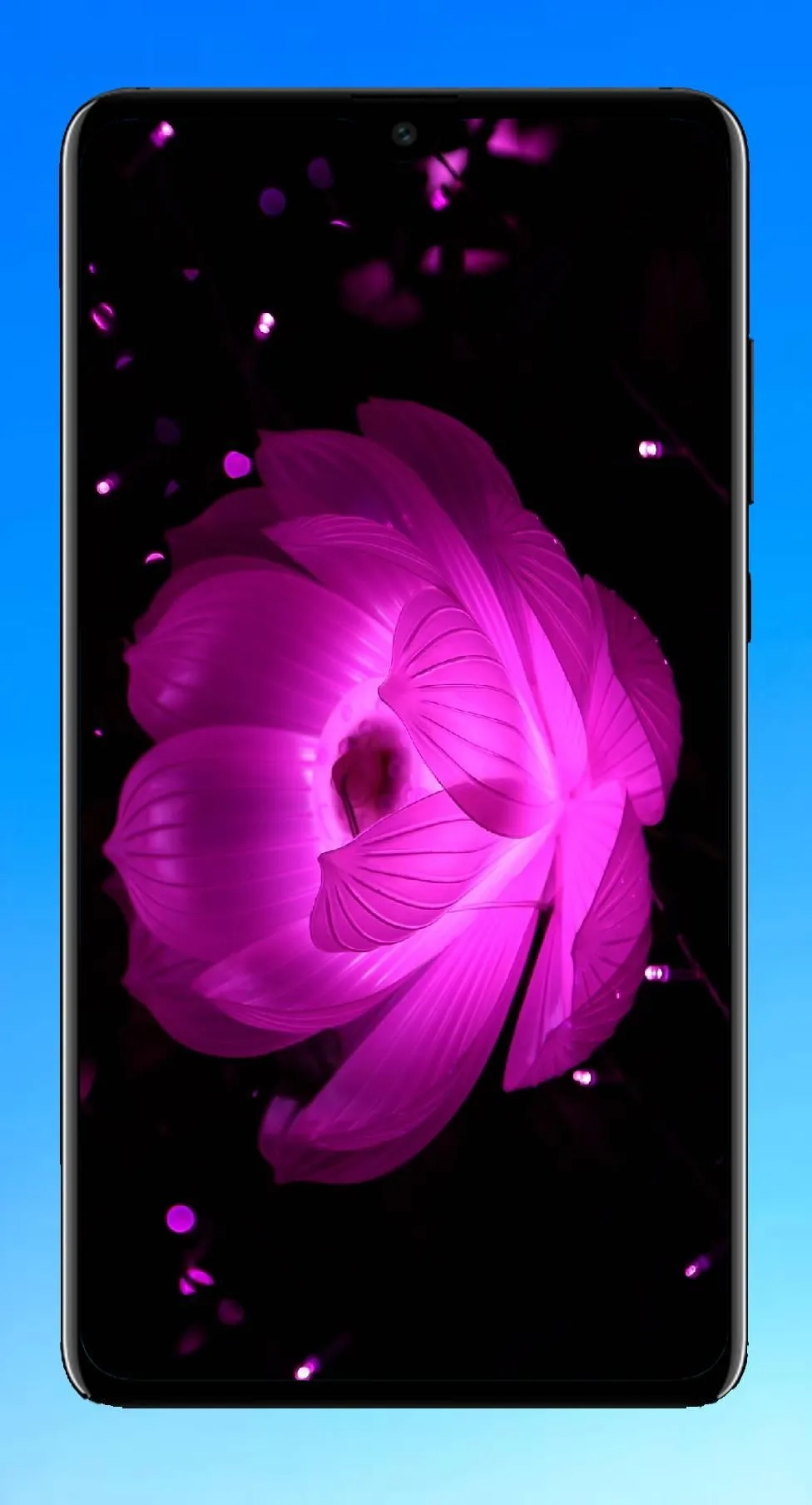 Lotus Wallpaper HD | Indus Appstore | Screenshot