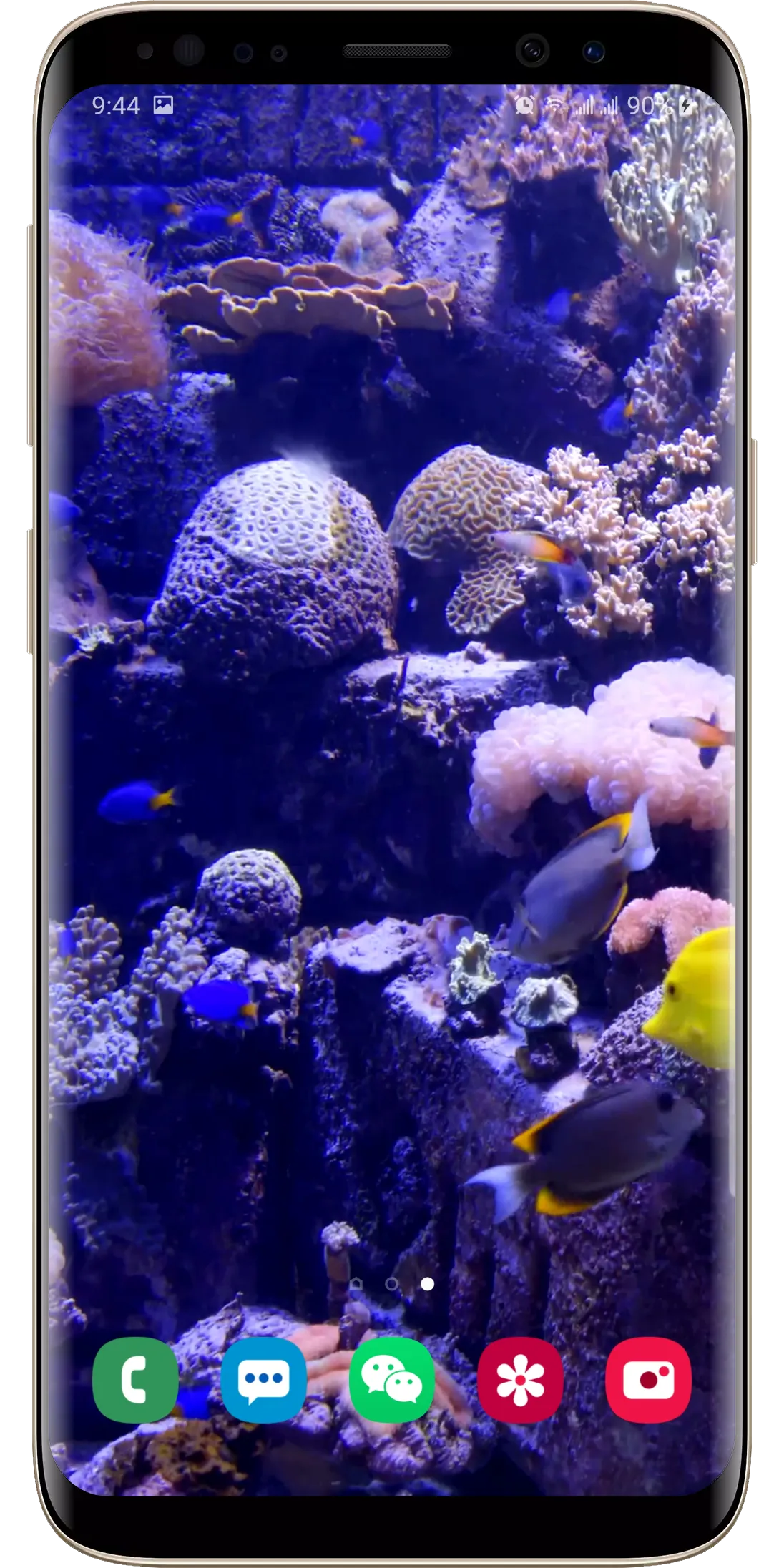 Real Aquarium Live Wallpaper | Indus Appstore | Screenshot