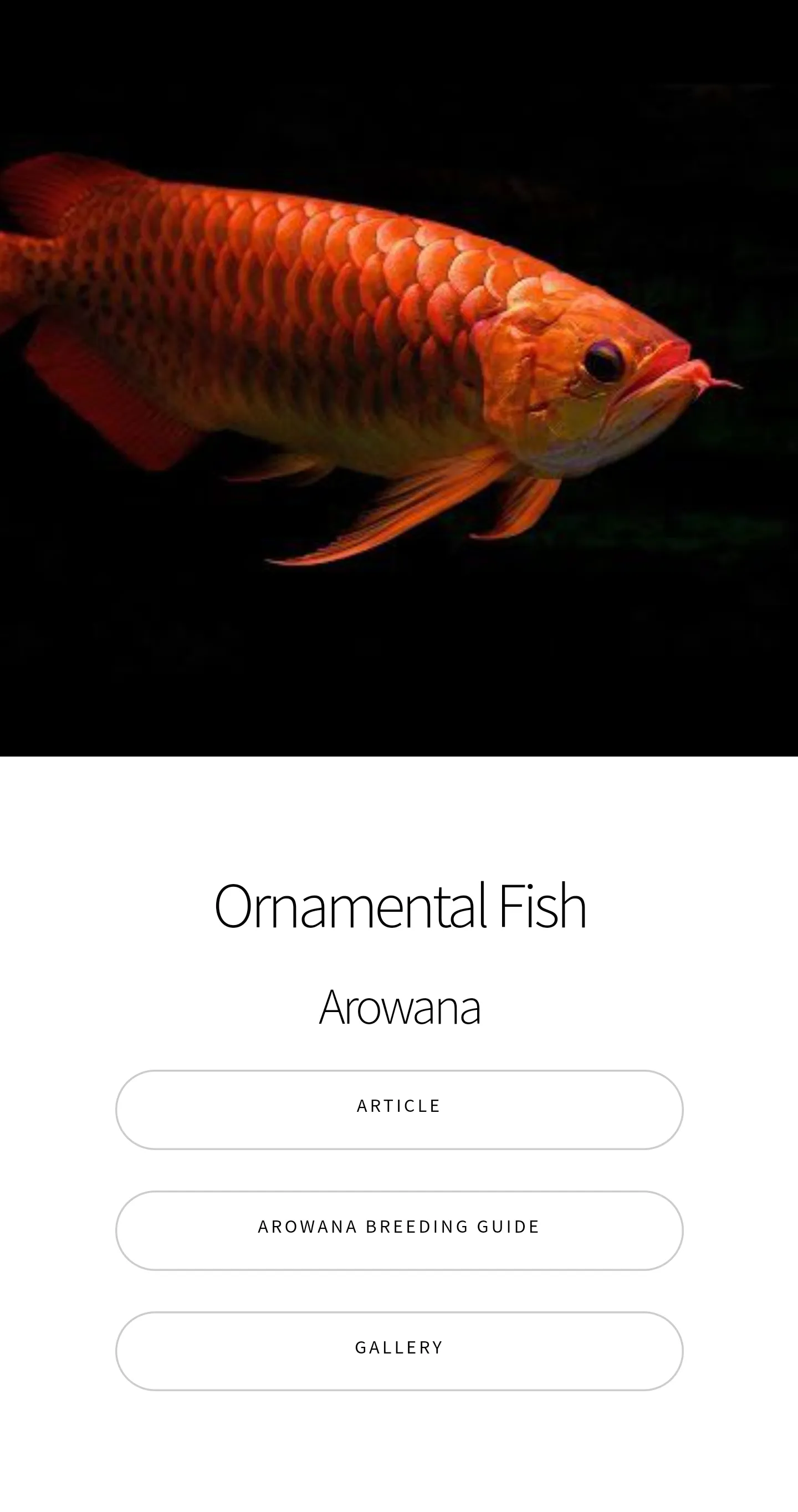 Arowana Fish - Care, Guide | Indus Appstore | Screenshot