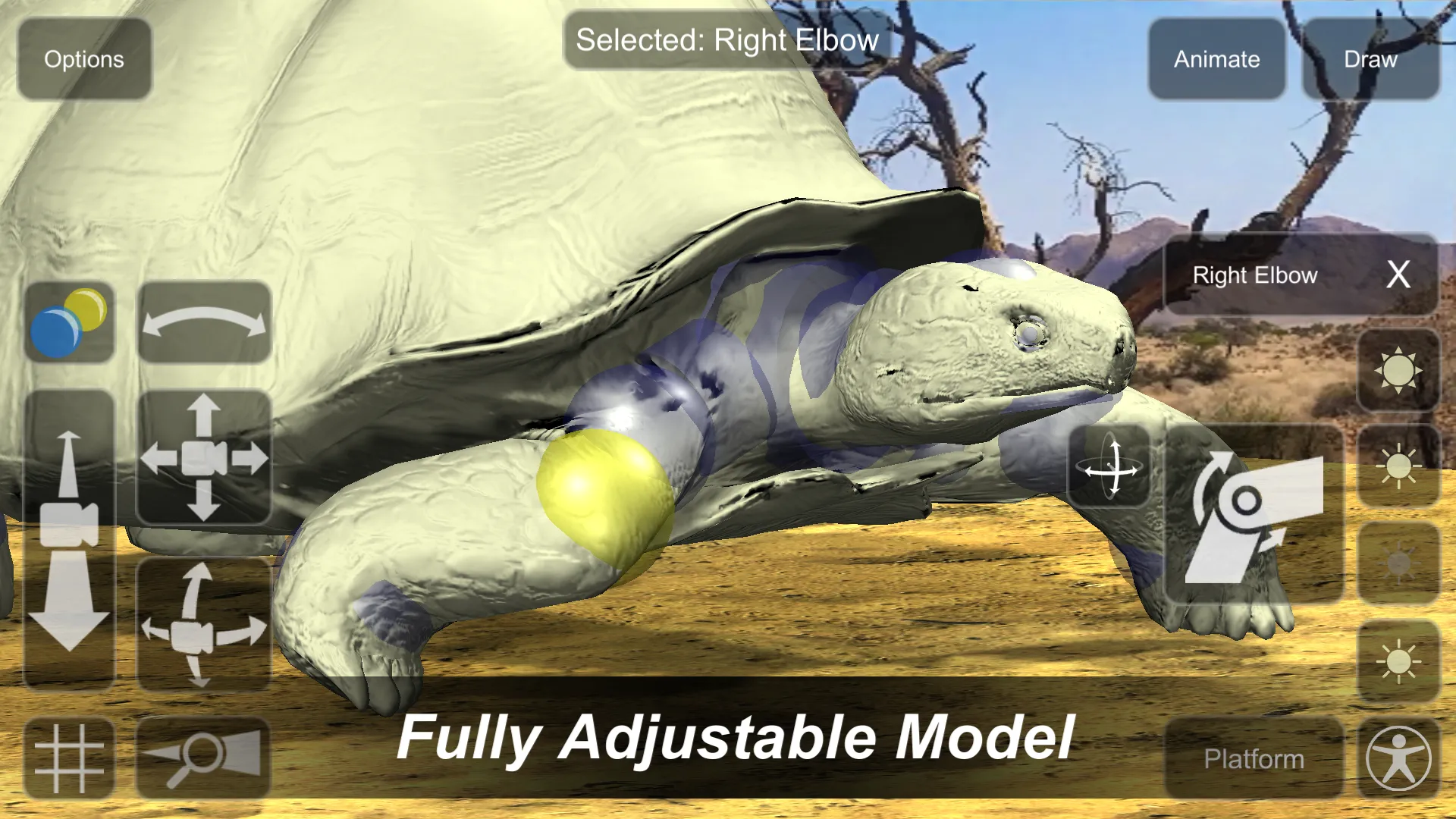 Tortoise Mannequin | Indus Appstore | Screenshot