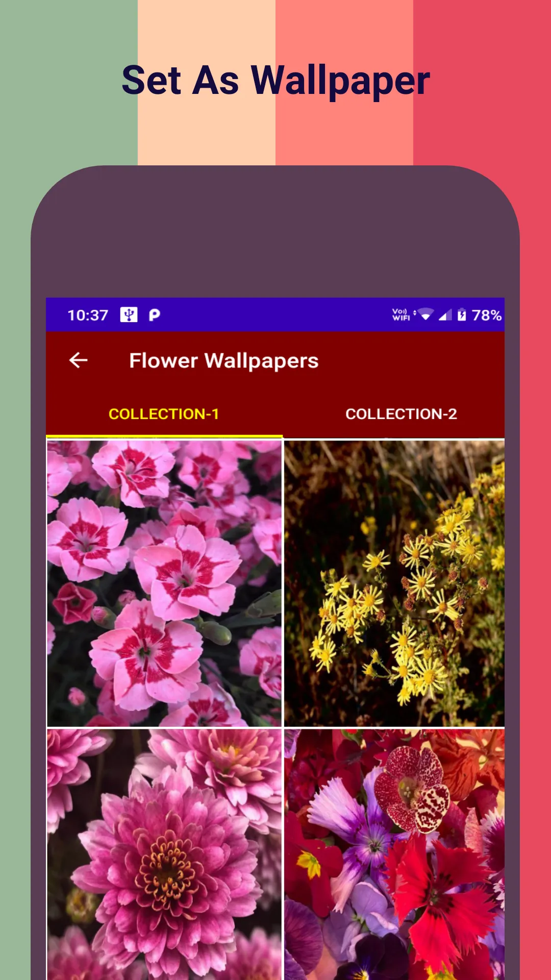 Nature Flower HD Wallpapers | Indus Appstore | Screenshot