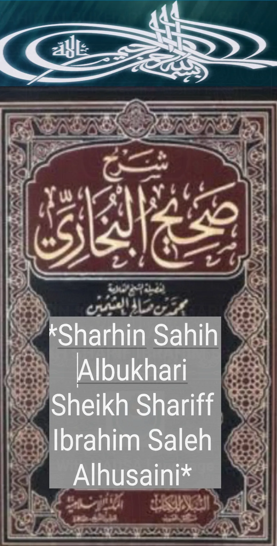 Sharhin Sahihal Bukhari Hausa  | Indus Appstore | Screenshot